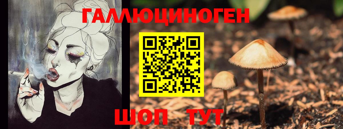Минусинск  Галлюциногенные грибы прущие грибы  Вход с VPN 
